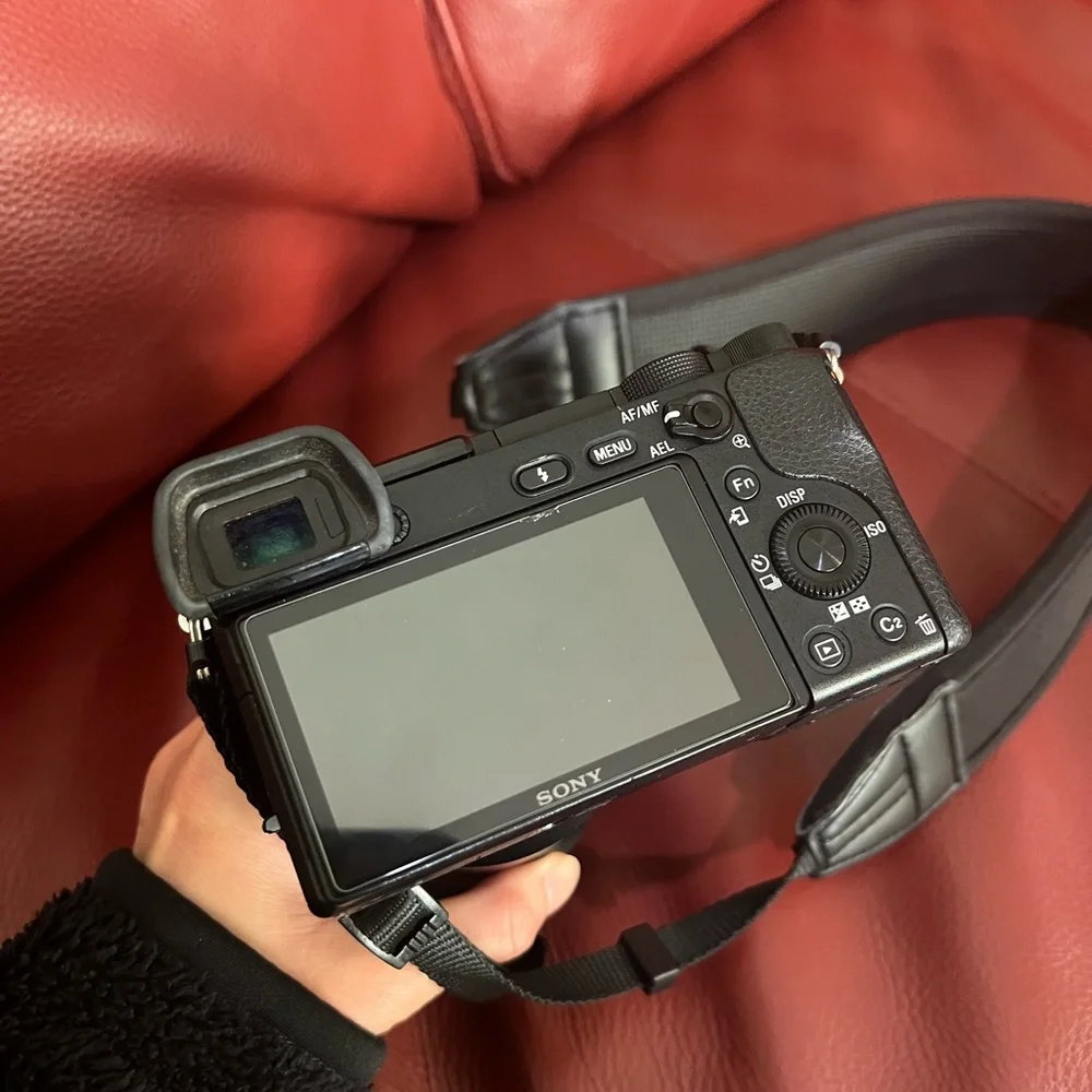 Sony a6300 with 2 lenses